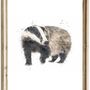 The Great British Wildlife Collection Four For Three, thumbnail 9 of 9