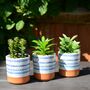 Artificial Succulent In A Blue Ceramic Pot, thumbnail 2 of 2