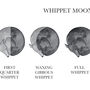 Whippet Moon Phase Cycle Panoramic Print, thumbnail 3 of 3