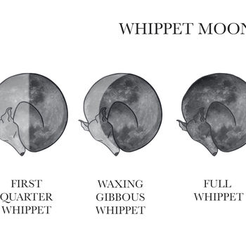 Whippet Moon Phase Cycle Panoramic Print, 3 of 3