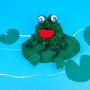 Pom Pom Frog Craft Kit, thumbnail 1 of 5