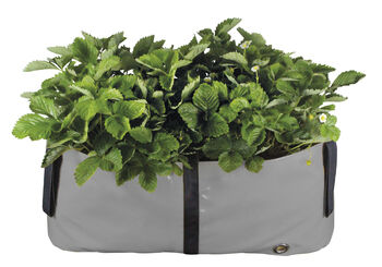 The Green Block Reusuable Grow Bag And Planter, 8 of 11