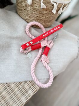 Design Your Own Cotton Dog Lead, 3 of 12