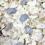 Ivory And Grey Wedding Confetti | Biodegradable Petals, thumbnail 1 of 3