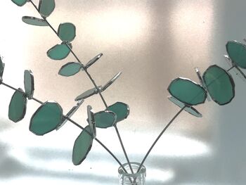 Eucalyptus Stained Glass Foliage, 5 of 6