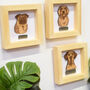 Personalised Pet Memorial Framed Wooden Engraving, thumbnail 8 of 12