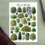 Trees Of Britain Watercolour Postcard, thumbnail 1 of 4