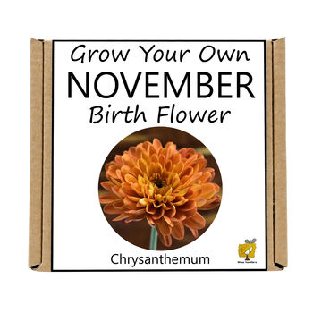 Unusual Birthday Gardening Gift. November Birth Flower, 3 of 3