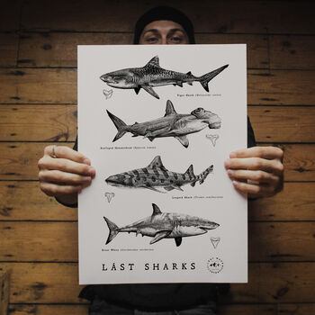 Shark Illustration Print, 8 of 8
