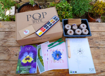 Winter Gardening And Art Wellbeing Box™, 4 of 10