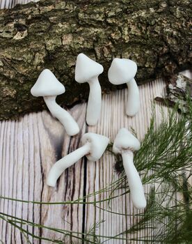 Porcelain Terrarium Fungi, 3 of 9