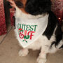 Cutest Elf Pet Dog Bandana And Neck Strap Collar, thumbnail 1 of 2