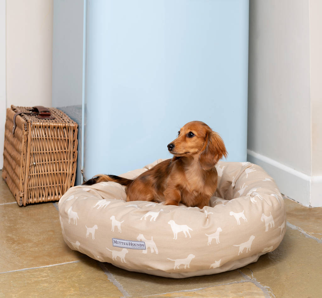 donut pillow dog