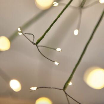 Solar Dandelion Outdoor Green Stake Light, 3 of 4