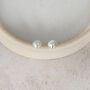 Sterling Silver Cornish Shell Studs, thumbnail 2 of 4