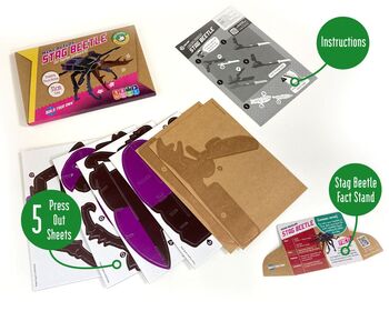 Build Your Own Stag Beetle, 8 of 9