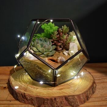 Black Geometric Terrarium Kit With Succulent, 4 of 11