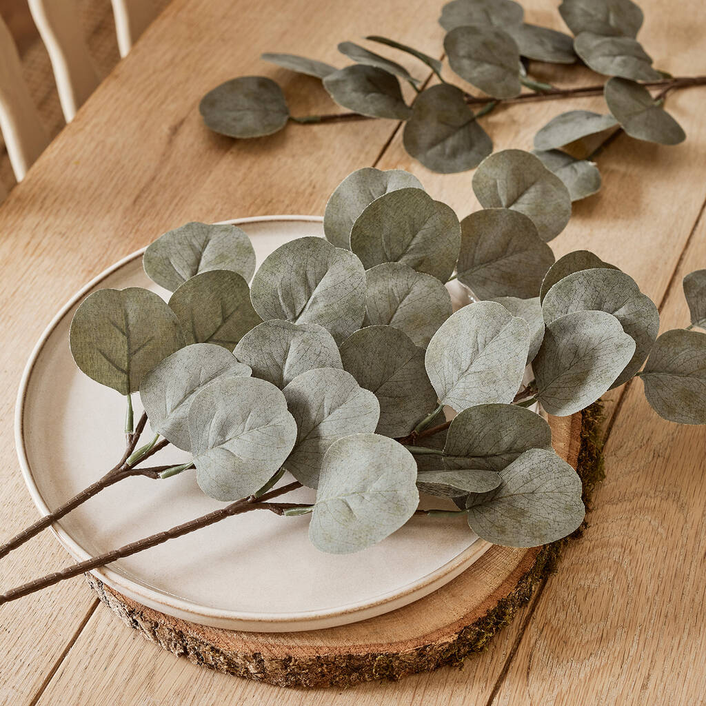 Set Of Three Eucalyptus Sprigs By Lights4fun