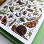 Garden Insects Of Britain Greeting Card, thumbnail 12 of 12