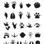 Animal Tracks Monochrome Print, thumbnail 2 of 4