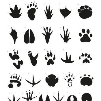 Animal Tracks Monochrome Print, 2 of 4