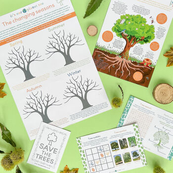 Children's Eco Activity Box: Tremendous Trees, 3 of 11