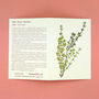 Teim Welsh Greeting Card With Thyme Seeds, thumbnail 2 of 6