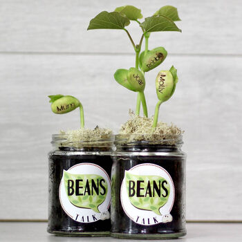 Beans Talk Message Seeds Jar Gift Set, 2 of 8