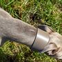 Grey Leather Whippet Collar Can Be Personalised, thumbnail 8 of 12