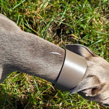 Grey Leather Whippet Collar Can Be Personalised, 8 of 12