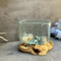 10cm Molten Glass Square Bowl On Teak Root Base, thumbnail 4 of 12