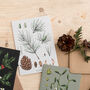 Botanical Christmas Card, White Pine, thumbnail 1 of 2