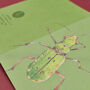 Handmade Greeting Card Tiger Beetle, Recycled Card, thumbnail 5 of 7