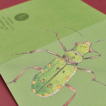 Handmade Greeting Card Tiger Beetle, Recycled Card, 5 of 7