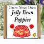Gardening Gift. Grow Your Own Jelly Bean Poppies Kit, thumbnail 1 of 6