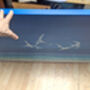 Ocean Magicians, thumbnail 10 of 10
