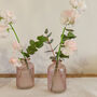 Pink Glass Bottle Vases Set Of Three, thumbnail 4 of 7