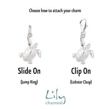 Turtle Charm, Slide On Or Clip On, 2 of 7