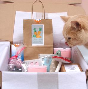 The Ultimate Catnip High Cat Toys Hamper, Catnip Toys