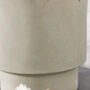 Noma Beige Footed Planter, thumbnail 4 of 4