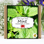 Herb Garden Mint Growing Kit. Gardening Gift, thumbnail 1 of 6