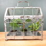 Mini Indoor Greenhouse With Plants Victorian Style, thumbnail 2 of 8