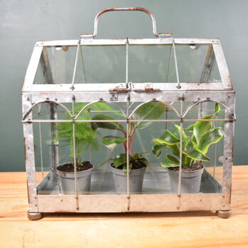 Mini Indoor Greenhouse With Plants Victorian Style, 2 of 8