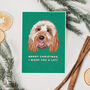 Woof You A Lot Christmas Card From The Dog, thumbnail 1 of 3