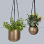 Golden Hanging Planters Set Of Two, thumbnail 10 of 10