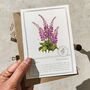 Botanical Wildflowers Postcards Gift Set, thumbnail 6 of 10