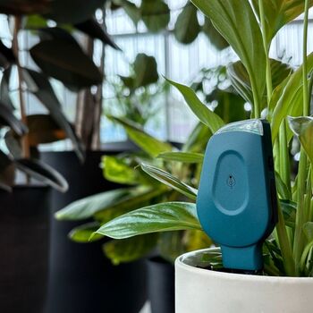 Smartyplants Single Monitor For Healthy Plants Perfect For Plant Lovers, 2 of 5