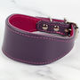 Colour Contrast Leather Whippet Collar, thumbnail 11 of 11