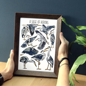 Herons Watercolour Illustrated Postcard, 8 of 8