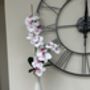 White And Pink Phalenopsis Orchid In Tall Slim Vase, thumbnail 3 of 8